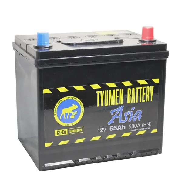 Аккумулятор TYUMEN BATTERY Asia 65 Ач 580 А (EN), обратная полярность, D23